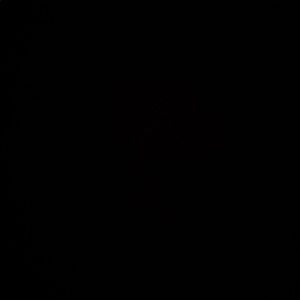 Meet your Posher, Sydni